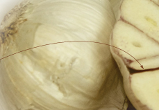 Garlic cloves inner covering