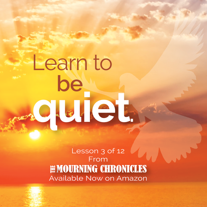 The Mourning Chronicles - Lesson 3 by Roz Swartz Williams