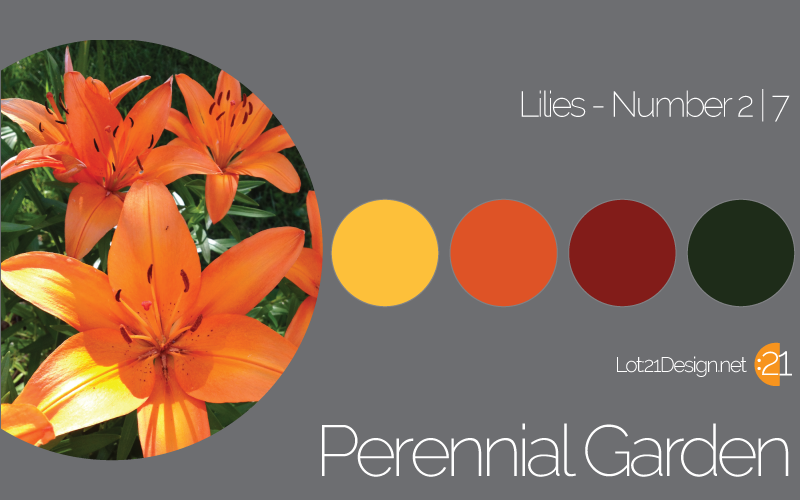 Lilies Palette Number 2 of 7