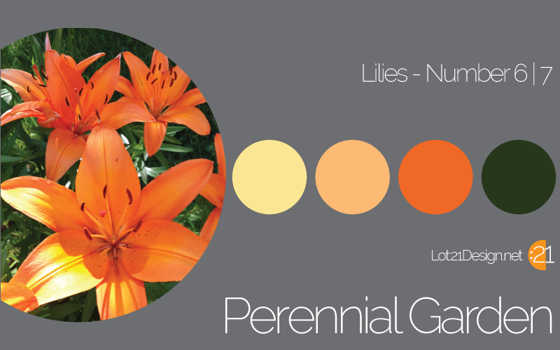Lilies Palette Number 6 of 7